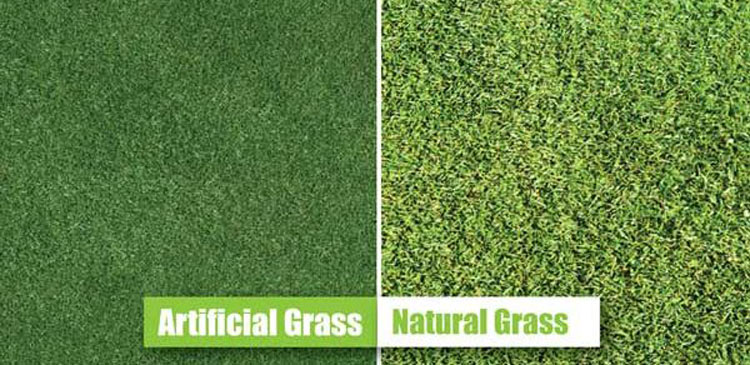 Artificial vs. Natural Grass: A 10-Year Cost Comparison